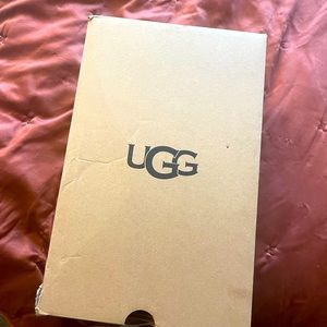 Adorable new in box UGG Tazz Mules! As seen on Gigi Hadid.